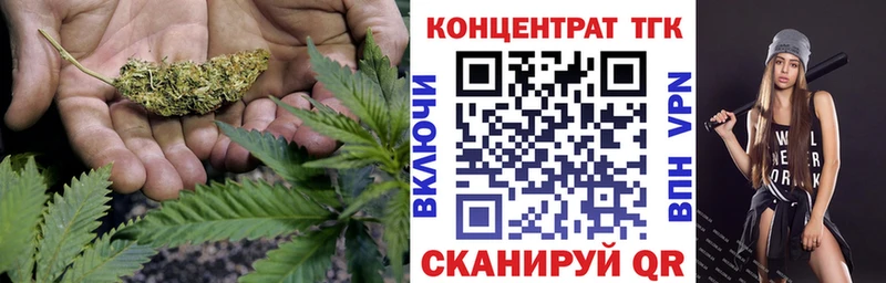 ТГК Wax  Талдом 