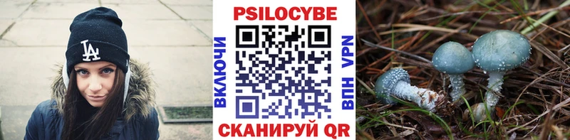 Галлюциногенные грибы Cubensis  это наркотические препараты  Талдом  как найти закладки 